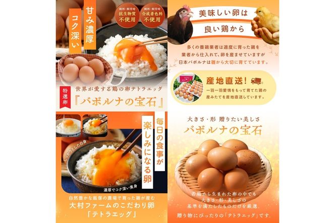 【E7-004】テトラエッグ特選卵『バボルナの宝石』（30個/月）【6カ月定期便】