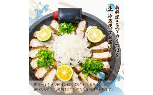 藁焼きうつぼのたたき（タレ・薬味付き）約200g 2～3人前 タタキ ウツボ うつぼ 高知県産 珍味 美味しい 薬味 タレ付き 新鮮 冷蔵 本場 わら焼き セット【さかなの森澤　マル祐】 [BQAM004]