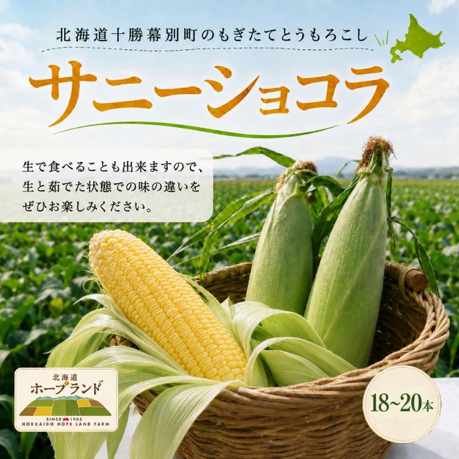 ［先行予約/2027年］もぎたてとうもろこし黄18～20本 [北海道ホープランド農場]【 とうきび トウモロコシ とうもろこし 野菜 夏野菜 フルーツ 北海道 十勝 幕別 】 