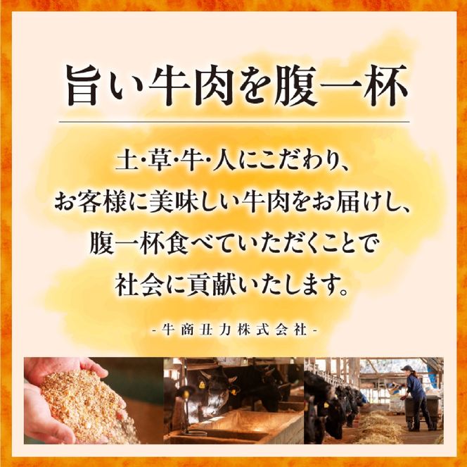 【自社牧場和牛】小林市産 黒毛和牛 赤身ステーキ 200g×2枚（牛肉 お肉 国産牛 黒毛和牛 和牛 赤身 ステーキ 宮崎県 小林市 ）