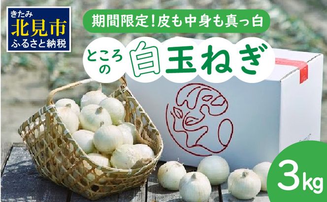 【予約：2026年7月中旬から順次発送】ところの白玉ねぎ 3kg ( 玉ねぎ タマネギ 玉葱 野菜 白玉ねぎ 3キロ 期間限定 辛みが少ない 生食 )【121-0003-2026】