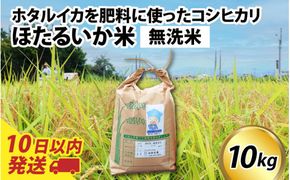 【訳あり】ほたるいか米（無洗米10kg）【通年発送】