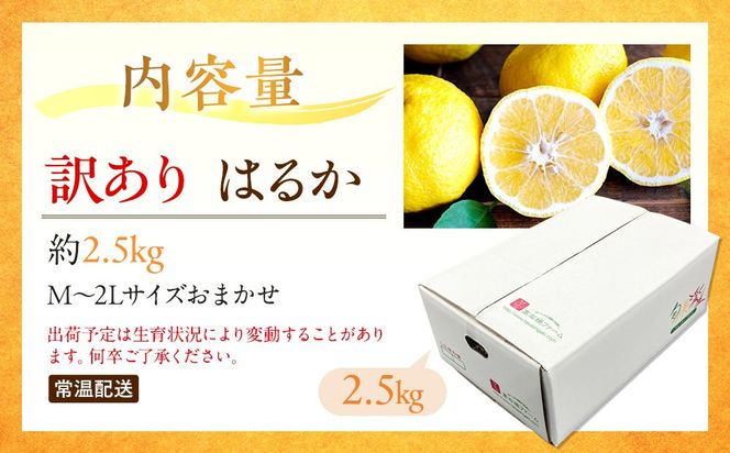 訳あり はるか 2.5kg M～2Lサイズおまかせ 高石垣ファーム   K018