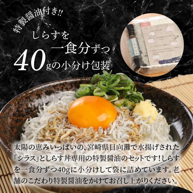 宮崎産 しらす丼 セット 小分け 10食分 400g 老舗醸造所 特製醤油付き　N065-YA175