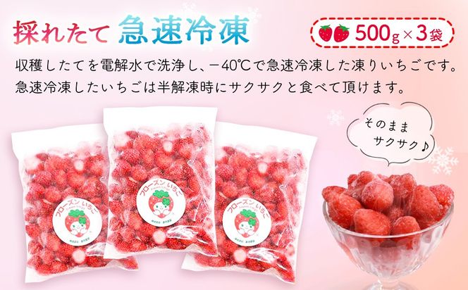 フローズンいちご 1.5kg【フルーツ フローズン ジャム スムージー 冷凍 解凍 練乳 牛乳 砂糖】(H017122)