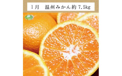 【3か月定期便】たっぷり届く♪ 訳ありみかんの定期便 温州みかん 不知火 清見オレンジ / ご家庭用 ミカン 柑橘 フルーツ 果物 【tkb113】