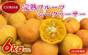 【2025年発送】完熟フルーツシークヮーサー　6kg 沖縄 おきなわ 大宜味村 果物 くだもの 果実 シークワーサー しーくわーさー 完熟 沖縄県産 産地直送 お取り寄せ 人気 食品 送料無料 国産 県産 ご当地 やんばる ノビレチン