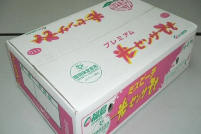 透過式光センサー川中島白桃 特秀3kg相当 9玉～11玉＜ ふくしま未来農業協同組合 ＞ | ふくしま 桃 福島 もも 国見 モモ ※2025年8月中旬頃に順次発送予定 ※沖縄・離島への配送不可