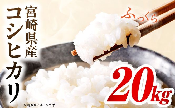 令和7年度産 宮崎県産コシヒカリ 20kg（5kg×4袋）