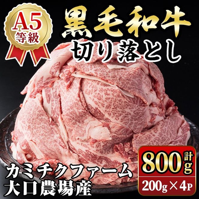 yɍszisa692 (J~`Nt@[ _)Y јa؂藎Ƃ(v800gE200g×4pbN) јa ؂藎Ƃ a Y  A5 N ~ Ԑg  ؂ XCX pr g  lC  ^pN y̒ ɍ