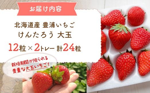 【2026年4月以降順次出荷】豊浦いちご 大玉12粒×2トレー 【 ふるさと納税 人気 おすすめ ランキング 果物 いちごイチゴ 苺 大玉 大粒 けんたろう おいしい 美味しい 農園直送 採れたて 新鮮 産直 苺 ストロベリー 北海道 豊浦町 送料無料 】 TYUAH001