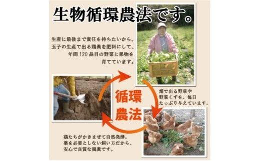 旬の季節野菜セット(10～12品目)&平飼い玉子10個