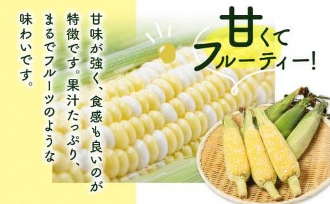 訳あり ご家庭用ドルチェドリーム 約4.5kg【2027-6月上旬～2027-7月上旬配送】 372013_T006-280J