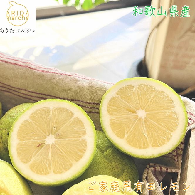 紀州和歌山 ご家庭用 有田 レモン 5kg+200g(傷み補償分)