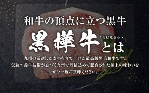 【定期便】黒樺牛【2回定期便】 ロースステーキ 400g （200g×2パック） 合計800g お肉 肉 牛肉 ブランド黒毛和牛 和牛 黒毛和牛 ブランド牛 ステーキ ロースステーキ 冷凍 国産 九州産 冷凍