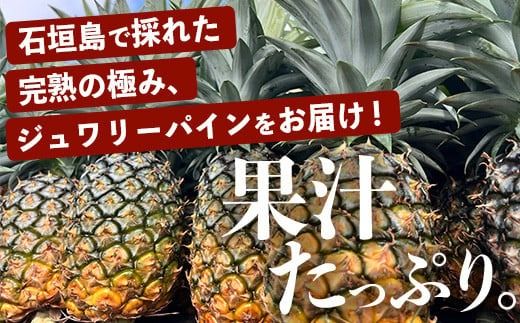 《2026年5月～7月順次発送》【先行予約】最高糖度20度以上！？ 完熟の極 石垣島産ピーチパインとジュワリーパインの食べ比べセット【 沖縄 石垣 ジュワリー ピーチ パイン パイナップル 完熟 セット フルーツ デザート 食べ比べ 】 TF-32_R8