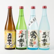 十日町の地酒 天神囃子4本セット（720ml×4） お酒 日本酒 