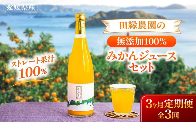 【3ヶ月定期便】田縁農園 みかんジュースセット 全3回 IKTA052