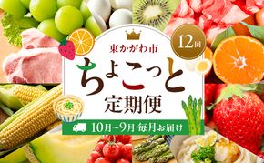 東かがわ市ちょこっと定期便(12回) 卵 キウイ 黒毛和牛 みかん いちご 讃岐うどん アスパラ トマト メロン コーン 豚肉 シャインマスカット 香川