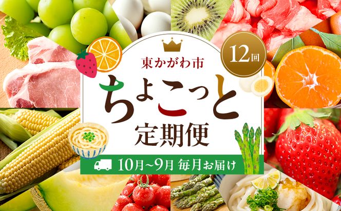 東かがわ市ちょこっと定期便(12回) 卵 キウイ 黒毛和牛 みかん いちご 讃岐うどん アスパラ トマト メロン コーン 豚肉 シャインマスカット 香川