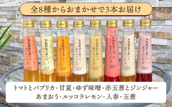 【 全12回 定期便 】 糸島 野菜 を 食べる 生 ドレッシング お任せ 3本 セット 《糸島》【糸島正キ】 [AQA013] ドレッシング セット ボトル ギフト 無添加 人気 野菜 にんじん 玉ねぎ