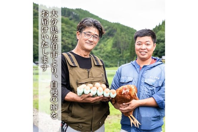 元さん農園 平飼い赤鶏のたまご (計20個・10個×2P) 元さん農園 卵 玉子 卵かけご飯 玉子焼き 平飼い 鶏 鶏卵 養鶏場直送 朝採れ 新鮮 大分県 佐伯市 【GE001】【 (株)海九】
