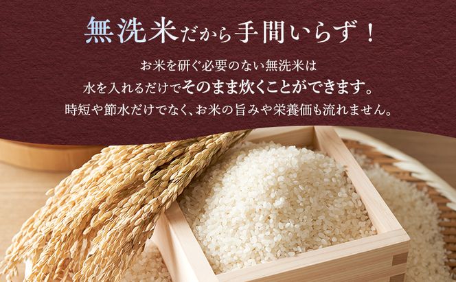 【令和7年度産】富良野 山部米研究会【 ゆめぴりか 】無洗米 5kg×2袋（10kg）お米 米 ご飯 ごはん 白米 令和7年 令和7年産 送料無料 北海道 富良野市 道産 直送 ふらの