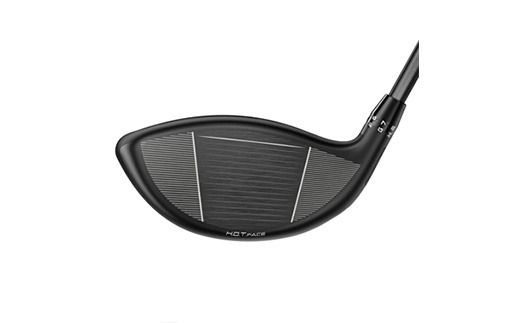 コブラ DS-ADAPT MAXD ドライバー 12° オリジナルSPEEDER Lフレックス ゴルフクラブ