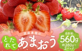 渡邉農園の採れたてあまおう 280g×2パック 合計560g いちご イチゴ フルーツ くだもの 福岡県産 【2026年1月下旬-4月下旬迄順次発送予定】