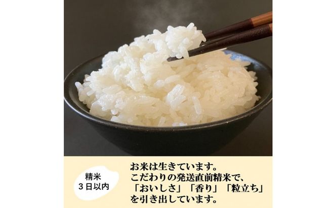 【日本農業賞大賞】【定期便2カ月連続】特別栽培米コシヒカリ4.5kg精白米 172111_AE032