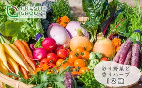 フレッシュグループ淡路島彩り野菜と香るハーブセット　[野菜セット 野菜詰め合わせ]