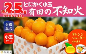 不知火 とにかく 小玉 箱込 2.5kg (内容量約 2.3kg) 秀優品混合 和歌山県産 産地直送 【みかんの会】AX142