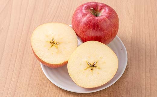 FYN6-309 山形県産 品種おまかせ りんご 赤色系 約2kg(5～8玉) 準秀品 2025年10月上旬から順次発送 果物 くだもの フルーツ 林檎 リンゴ アップル 秋果実自宅用 家庭用 訳アリ ワケアリ 山形県 西川町 月山