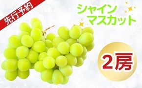 【先行予約丨2026年9月上旬より順次発送】シャインマスカット【約1kg (2房)】(At-006)丨長野県 飯山市 おすすめ ランキング おいしい 高評価 大人気 先取り 産地直送 シャインマスカット 甘い 糖度