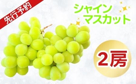 【先行予約丨2026年9月上旬より順次発送】シャインマスカット【約1kg (2房)】(At-006)丨長野県 飯山市 おすすめ ランキング おいしい 高評価 大人気 先取り 産地直送 シャインマスカット 甘い 糖度