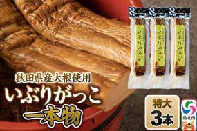 いぶりがっこ 一本物 特大サイズ 3本セット 株式会社がっこ [ご当地グルメ お取り寄せ 名産 漬物 漬け物 沢庵 たくあん つけもの 秋田 東北 土産]|02_gkk-040301