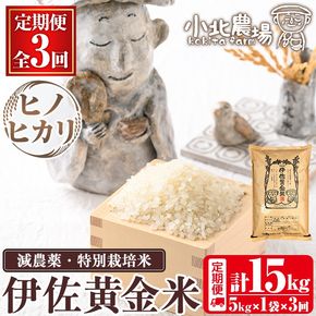 isa601 《数量限定・3回定期便》令和7年産 小北農場のお米 伊佐黄金米〈ヒノヒカリ〉(計15kg・5kg×1袋×3回) 鹿児島 伊佐 お米 特別栽培米 伊佐米 白米 ヒノヒカリ ひのひかり おにぎり ごはん 【小北農場】