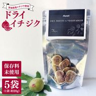 ★数量限定★ドライイチジク　約20g×5袋｜いちじく イチジク フルーツ ドライフルーツ ドライイチジク 数量限定 茨城県 行方市(CP-15)