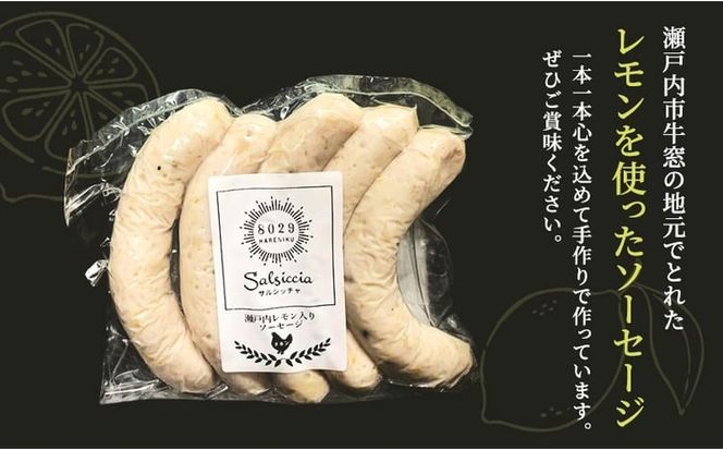瀬戸内レモンソーセージ・干し肉160g 詰め合わせ セット 手作り ソーセージ レモンソーセージ 干し肉 肉 お肉 肉加工品 岡山 瀬戸内市 [№5735-3384]