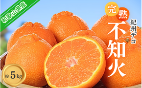 果肉プリプリ♪　完熟紀州デコ(不知火) 約5kg デコポンと同品種 ＜2026年2月下旬頃〜2026年3月中旬頃発送＞（お届け日指定不可）/ 不知火 しらぬい デコポン みかん 柑橘 フルーツ 果物 和歌山県産【uot707A】