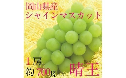ぶどう 2026年 先行予約 9月・10月発送 シャインマスカット 晴王 1房 約700g ブドウ 葡萄 岡山県産 国産 フルーツ 果物 ギフト