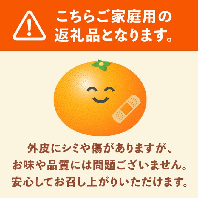 ＜1月より発送＞家庭用 柑橘詰合せ5kg+250g（傷み補償分）◇【訳あり・わけあり】【有田の春みかん詰め合わせ・フルーツ詰め合せ・オレンジつめあわせ】【光センサー選別】
