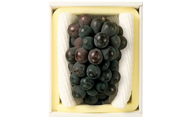 ぶどう 2026年 先行予約 ニュー ピオーネ 1房 600g以上 ブドウ 葡萄  岡山県産 国産 フルーツ 果物 ギフト 環山堂 