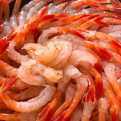 漁師厳選！秋田沖のほっこく赤エビ（甘えび） 1kg 甘海老 あまエビ 海老 