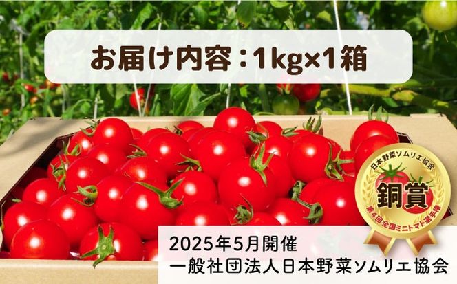 フルティカ 1kg 　糸島市 / かわぞえ農園 トマト 中玉トマト  [AAM005]