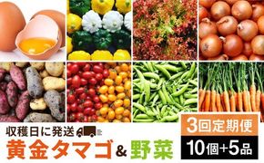 【全3回定期便】糸島の朝産み黄金タマゴ10個 朝どれ新鮮野菜5品 セット【福岡県糸島産】 糸島市 / オーガニックナガミツファーム 玉子 やさい [AGE047]