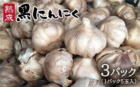 熟成 黒 にんにく （ 3パック ）《糸島》【シーブ】[AHC001] 黒 ニンニク にんにく 大蒜 熟成 健康