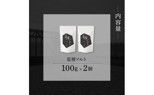 銀象ソルト Ginzo-Salt 星屑ソルト 100g×２個セット 合計200g 塩 しお 調味料 天日塩 完全天日塩 国産 高知県産 ソルト ミネラル 健康 料理 調理 お塩 塩【塩杜氏銀象】 [BQBX005]