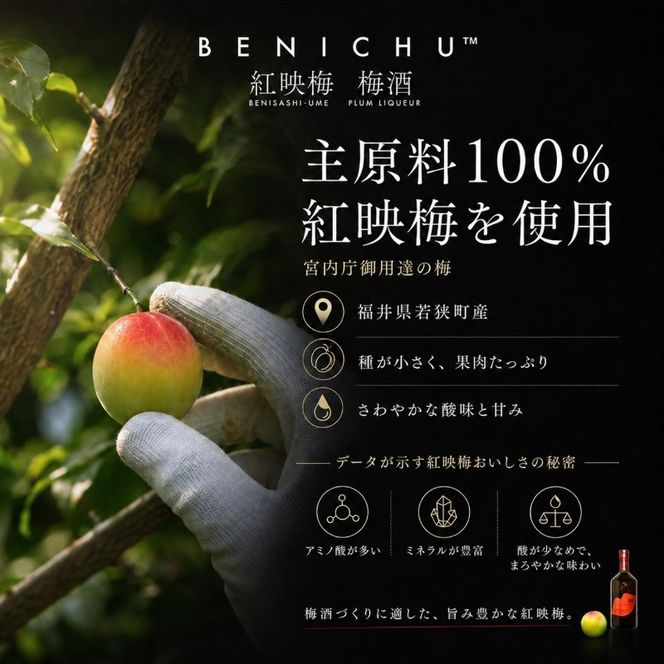 梅酒 BENICHU38° 750ml お酒 酒 梅 リキュール アルコール 無糖 甘くない梅酒 高評価 ギフト プレゼント 贈答 贈答品 贈り物 家飲み 宅飲み 晩酌 うめしゅ うめ ウメ 福井県 福井 若狭町 若狭