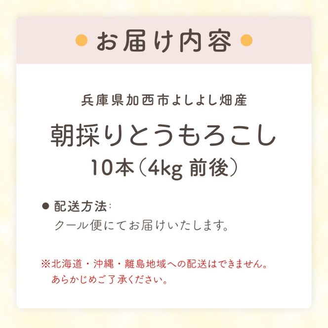 とうもろこし 朝どり 10本 4kg 前後 2025年 兵庫県産 よしよし畑 農家直送 朝どれ 野菜 新鮮 高糖度 キャンプ BBQ アウトドア 極甘 甘い 絶品 朝 採り 夏野菜 あまい 冷蔵配送
